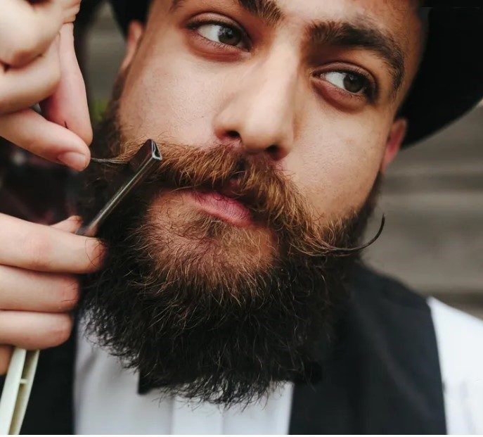 Best beard oil for men 2026